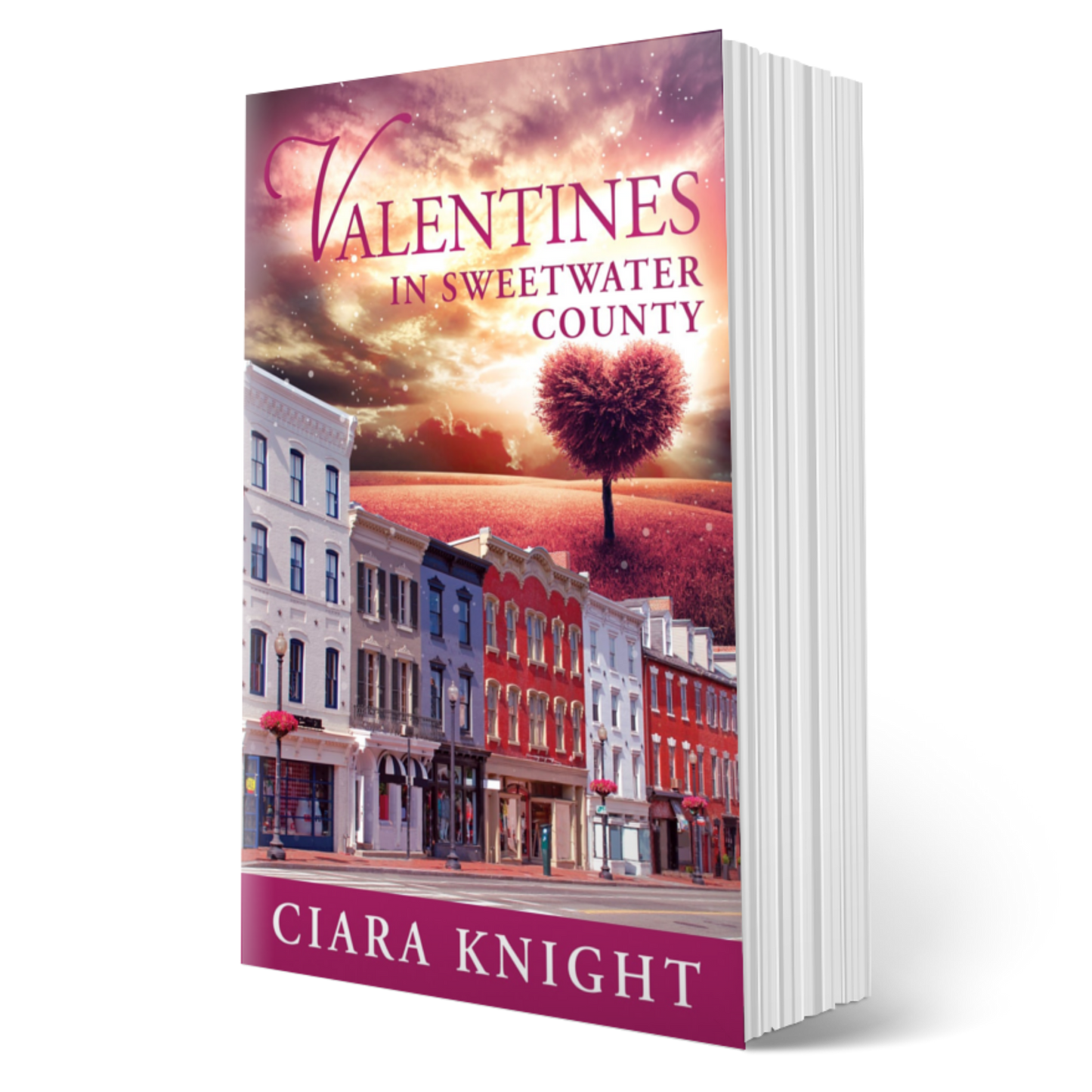 SALE - Valentines in Sweetwater County - Print