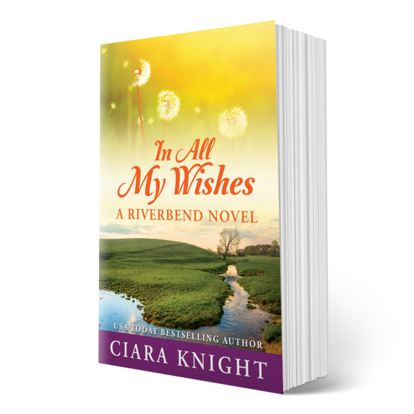 SALE - In All My Wishes - Print