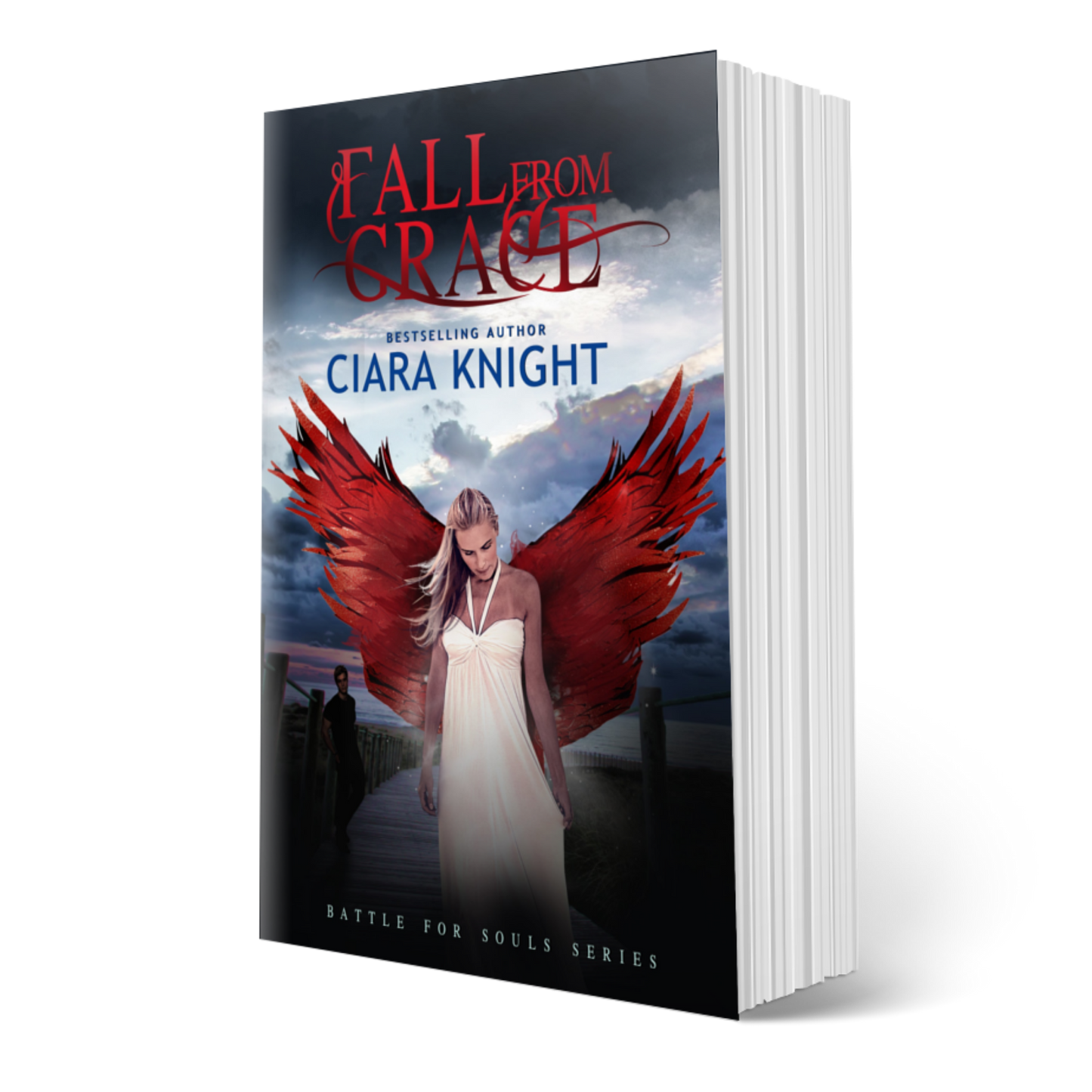 SALE - Fall From Grace - Print