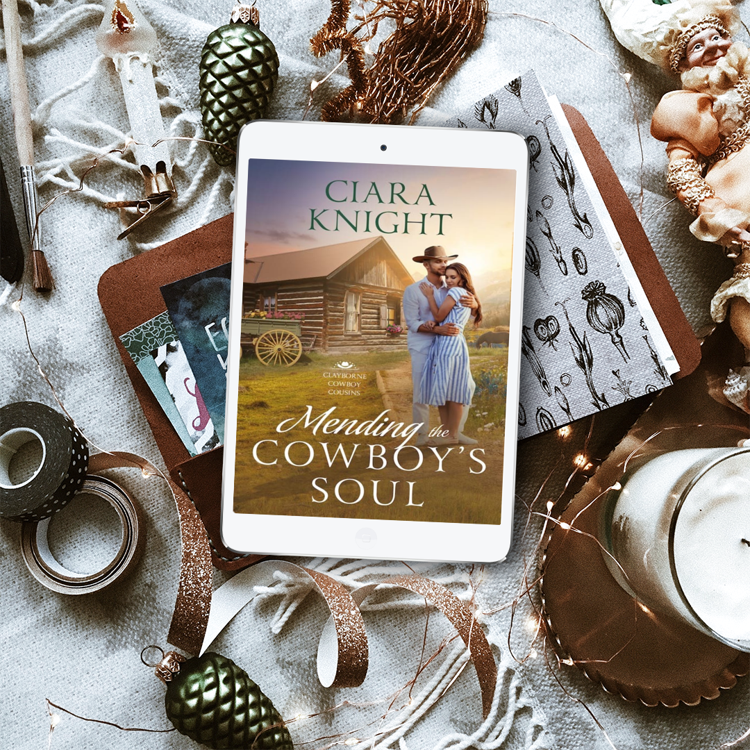 Mending the Cowboy's Soul